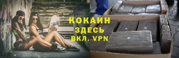 прущая мука Снежногорск