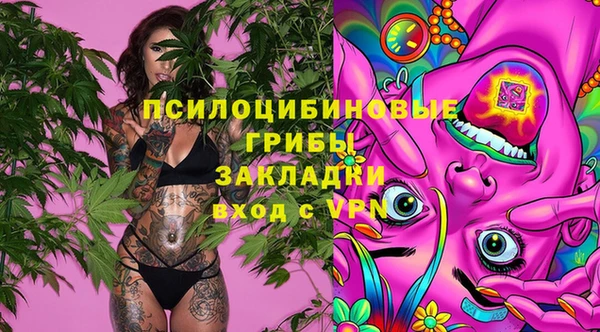 прущая мука Снежногорск