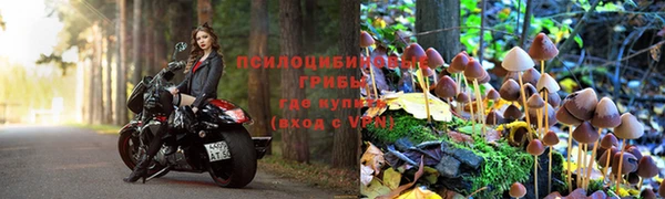 мдпв Снежинск